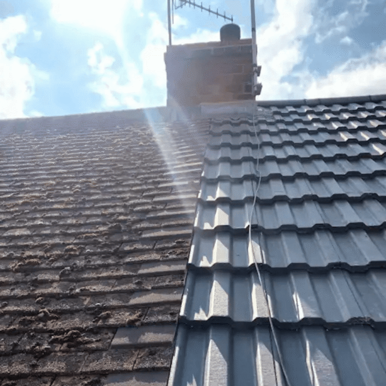 Roof Half and Half
